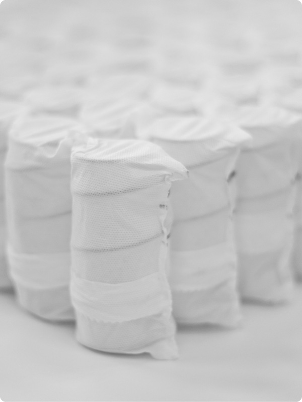 Wonderland Standard Pocket