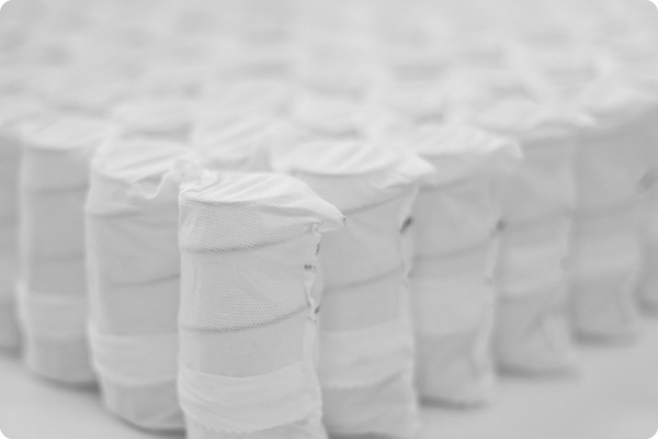 Wonderland Standard Pocket