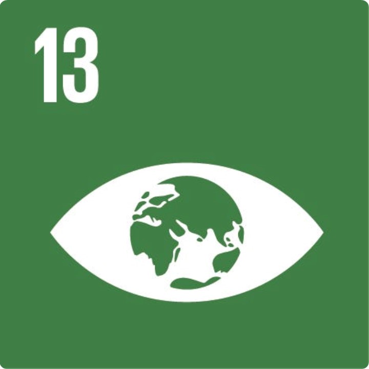 UN SDG 13